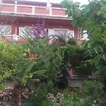 Marica Beg