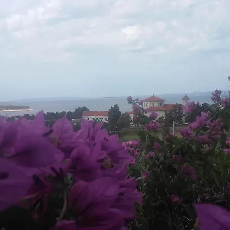 Marica Beg Apartman Palit