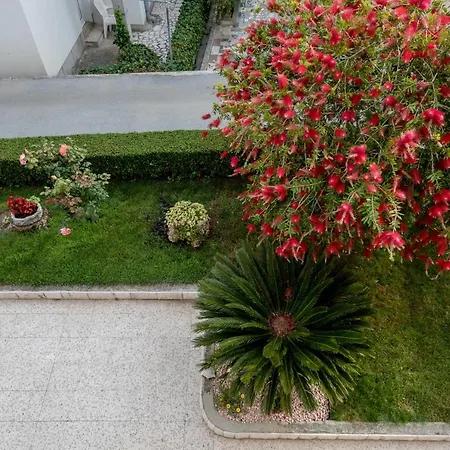 Apartmani Marica Beg * Palit