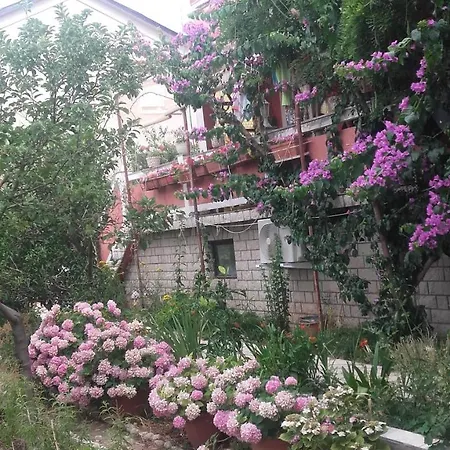 Marica Beg Lejlighed Palit
