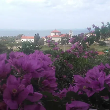Apartmani Marica Beg * Palit