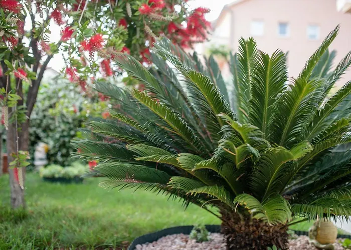 Marica Beg Appartamento Palit