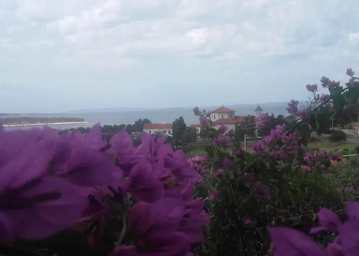 Marica Beg Apartamento Palit